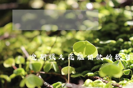 逾期很久还能借款的软件 逾期很久还能借款的软件