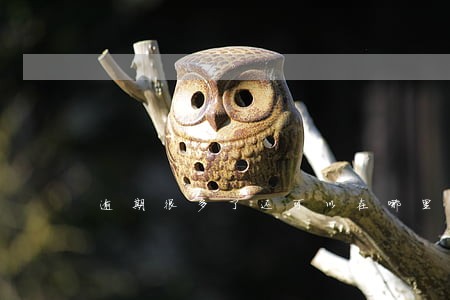 逾期很多了还可以在哪里贷款 逾期很多了还可以在哪里贷款