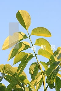 逾期很多信息贷款 逾期很多信息贷款
