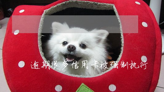 逾期很多信用卡被强制执行 逾期很多信用卡被强制执行