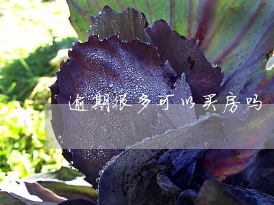 逾期很多可以买房吗 逾期很多可以买房吗