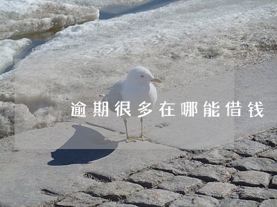 逾期很多在哪能借钱 逾期很多在哪能借钱