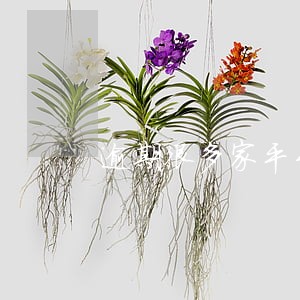 逾期很多家平台怎么办 逾期很多家平台怎么办