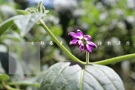 逾期很多年的征信能消除吗 逾期很多年的征信能消除吗
