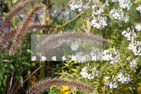 逾期很多最近两年 逾期很多最近两年