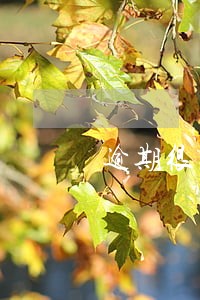 逾期很多次但还上了算失信人员吗 逾期很多次但还上了算失信人员吗