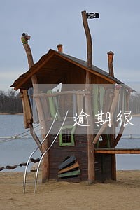 逾期很多次是不是就成黑户了 逾期很多次是不是就成黑户了