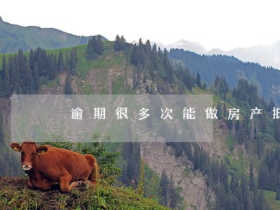 逾期很多次能做房产抵押吗 逾期很多次能做房产抵押吗