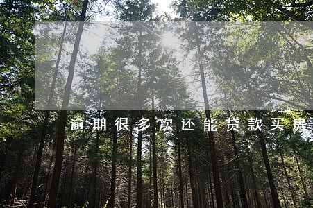 逾期很多次还能贷款买房吗 逾期很多次还能贷款买房吗