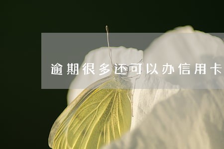 逾期很多还可以办信用卡 逾期很多还可以办信用卡