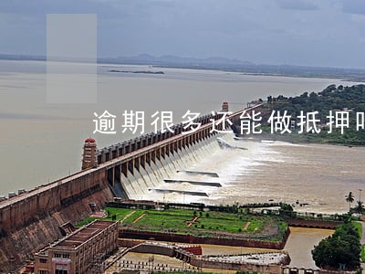 逾期很多还能做抵押吗 逾期很多还能做抵押吗