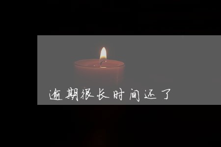 逾期很长时间还了 逾期很长时间还了