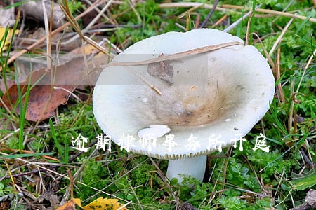 逾期律师事务所开庭 逾期律师事务所开庭