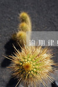 逾期律师介入严重吗 逾期律师介入严重吗