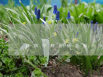 逾期律师催债是真的吗 逾期律师催债是真的吗