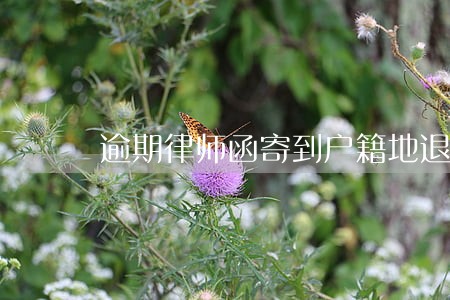 逾期律师函寄到户籍地退回