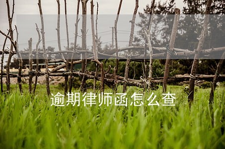 逾期律师函怎么查 逾期律师函怎么查