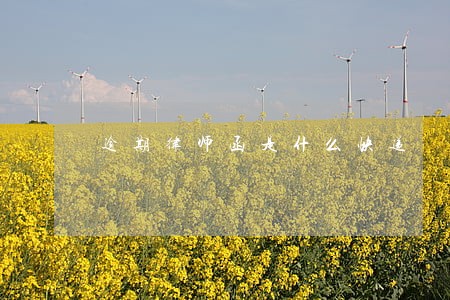 逾期律师函是什么快递 逾期律师函是什么快递