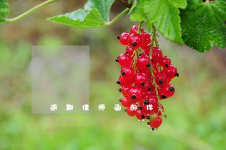 逾期律师函邮件 逾期律师函邮件