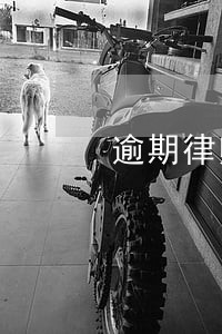 逾期律师有义务通知父母 逾期律师有义务通知父母