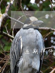 逾期律师来电话啥意思 逾期律师来电话啥意思