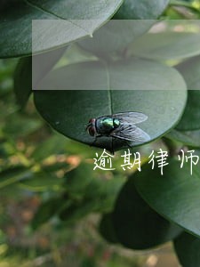 逾期律师涵是真的么 逾期律师涵是真的么