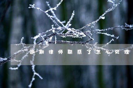 逾期律师联系了怎么处理 逾期律师联系了怎么处理