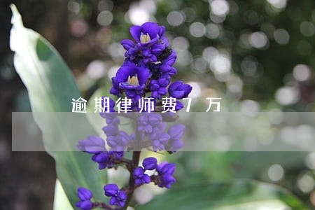 逾期律师费7万 逾期律师费7万