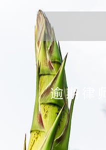 逾期律师走访是真的吗 逾期律师走访是真的吗