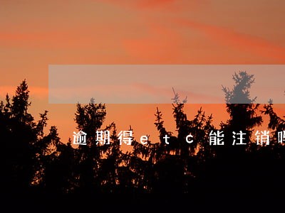 逾期得etc能注销吗