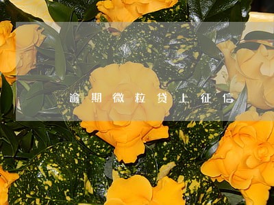 逾期微粒贷上征信 逾期微粒贷上征信