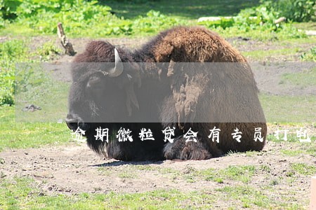 逾期微粒贷会有专员打电话吗 逾期微粒贷会有专员打电话吗