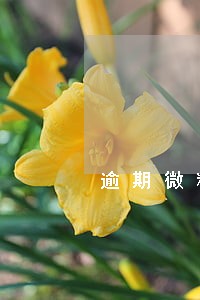 逾期微粒贷催款骚扰家人 逾期微粒贷催款骚扰家人
