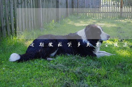 逾期微粒贷多久才会被冻结 逾期微粒贷多久才会被冻结