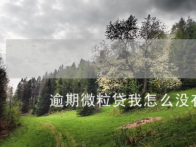 逾期微粒贷我怎么没有