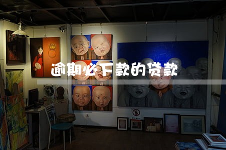 逾期必下款的贷款 逾期必下款的贷款