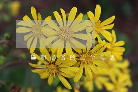 逾期必备的三个电话