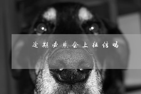 逾期必然会上征信吗 逾期必然会上征信吗