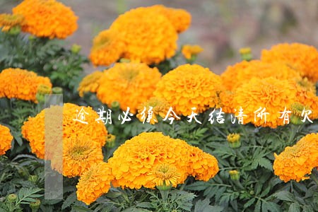 逾期必须今天结清所有欠款 逾期必须今天结清所有欠款