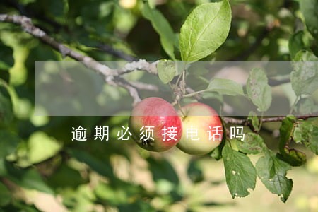 逾期必须接电话吗 逾期必须接电话吗