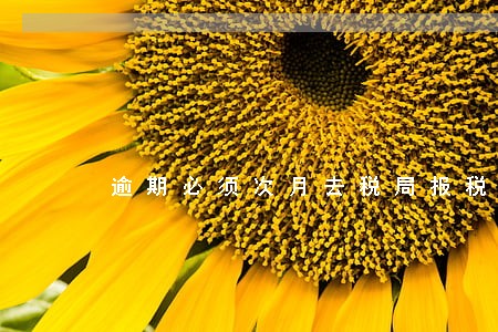 逾期必须次月去税局报税吗 逾期必须次月去税局报税吗