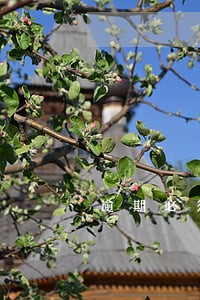 逾期必须还全款吗 逾期必须还全款吗