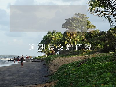 逾期忘交增值税