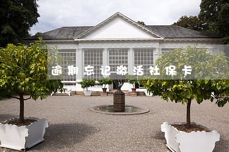 逾期忘记激活社保卡 逾期忘记激活社保卡
