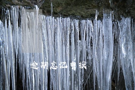 逾期忘记申报 逾期忘记申报
