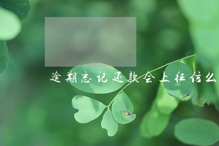逾期忘记还款会上征信么 逾期忘记还款会上征信么