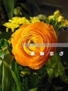 逾期忘还7天多久会上征信 逾期忘还7天多久会上征信