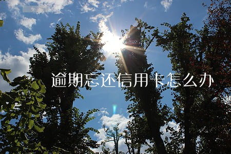逾期忘还信用卡怎么办