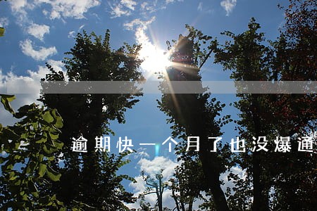逾期快一个月了也没爆通讯录