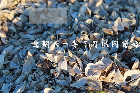 逾期快一年了可以网贷吗 逾期快一年了可以网贷吗